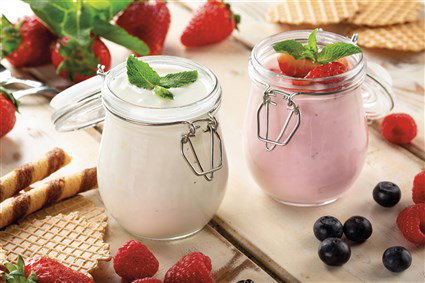 Ariete 615 Máquina para Hacer Queso y Yogur B-Cheese, Ideal para Intolerantes y Veganos