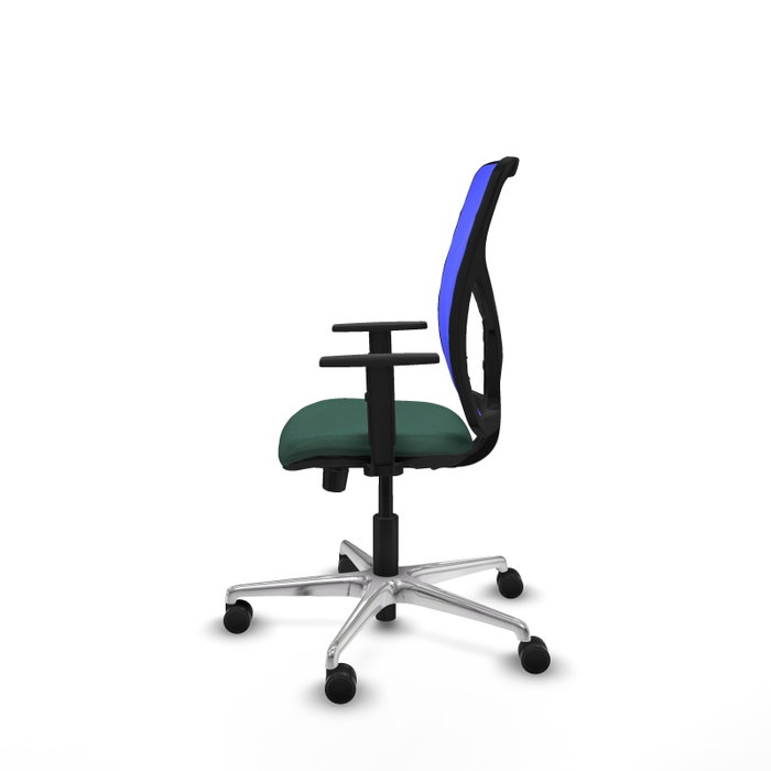 PIQUERAS Y CRESPO Silla de oficina Motilla con mecanismo Sincro/Traslack Verde botella y Azul PIQUERAS Y CRESPO Silla de oficina Motilla con mecanismo Sincro/Traslack Verde botella y Azul
