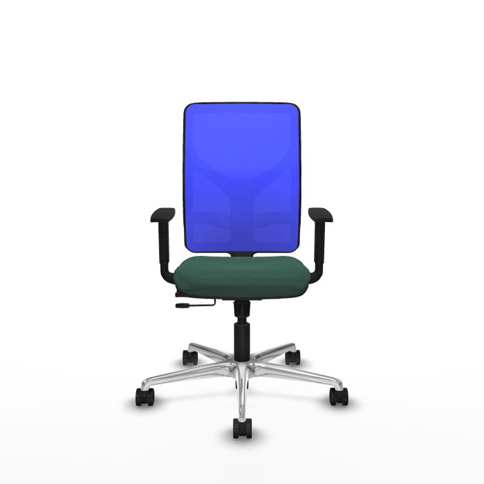 PIQUERAS Y CRESPO Silla de oficina Motilla con mecanismo Sincro/Traslack Verde botella y Azul PIQUERAS Y CRESPO Silla de oficina Motilla con mecanismo Sincro/Traslack Verde botella y Azul