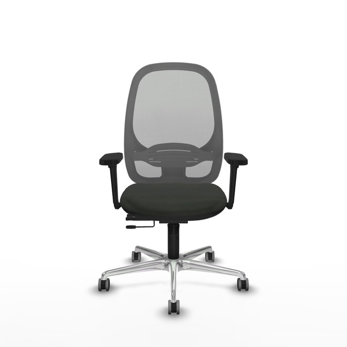 PIQUERAS Y CRESPO Silla de oficina Cilanco con mecanismo Sincro/Traslack, Negro/Gris PIQUERAS Y CRESPO Silla de oficina Cilanco con mecanismo Sincro/Traslack, Negro/Gris