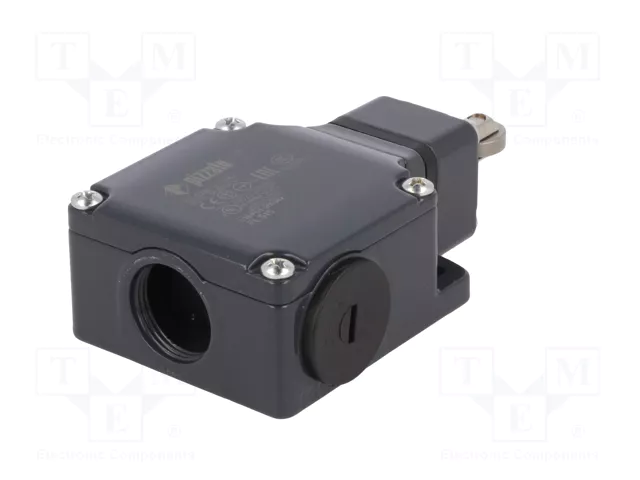 PIZZATO ELETTRICA Interruptor de fin de carrera FL 515 NO + NC PIZZATO ELETTRICA Interruptor de fin de carrera FL 515 NO + NC