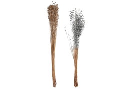 DKD Home Decor Ramo de Flores Secas Surtido de 2 Unidades (50G)
