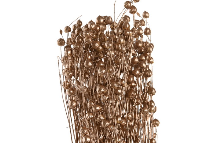 DKD Home Decor Ramo de Flores Secas Surtido de 2 Unidades (50G)