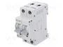 EATON ELECTRIC Interruptor magnetotérmico HN-B6/2 de 2 polos, 6A, 6kA