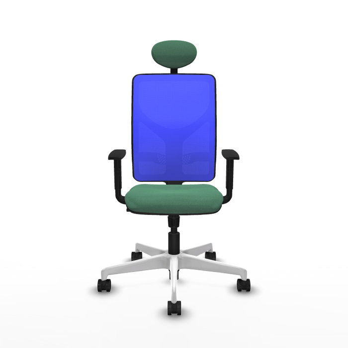 PIQUERAS Y CRESPO Silla de oficina Motilla con mecanismo Sincro, Verde esmeralda y Azul