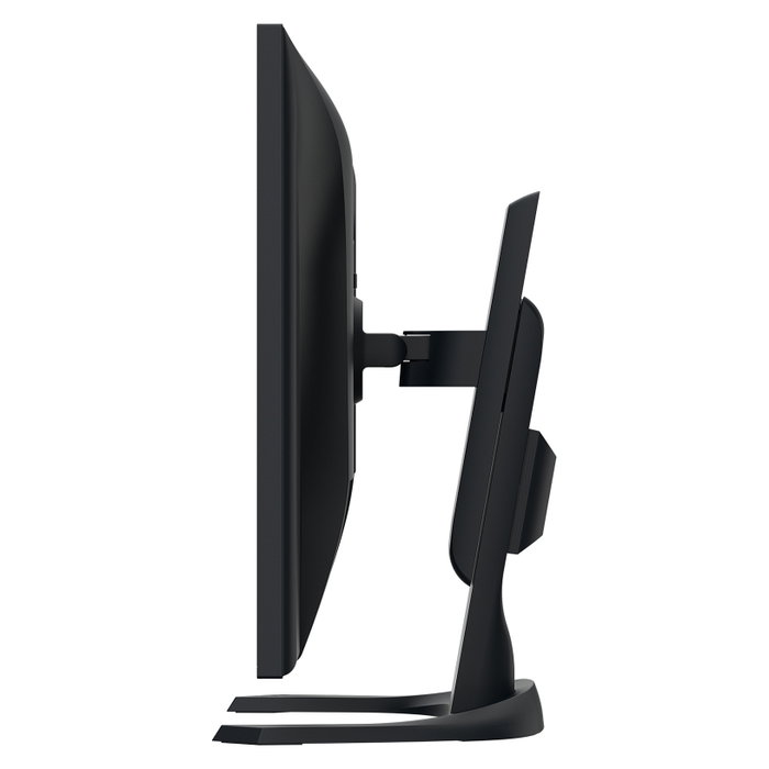 Eizo FlexScan EV3240X-BK Monitor 31,5 pulg 4K IPS Negro