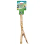Tyrol Percha de Rama para Pájaros TYR3281018691016, Accesorio de Madera Natural, Tamaño L 30cm