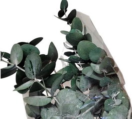 DKD Home Decor Ramo de Eucalipto Preservado Verde, 12 Unidades
