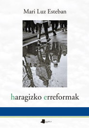 Haragizko erreformak, Mari Luz Esteban Galarza - PAMIELA EDITORIAL