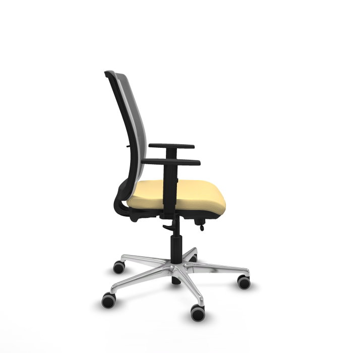 PIQUERAS Y CRESPO Silla de oficina Haches con mecanismo Sincro/Traslack, Crema y Gris PIQUERAS Y CRESPO Silla de oficina Haches con mecanismo Sincro/Traslack, Crema y Gris