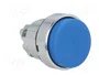 SCHNEIDER ELECTRIC Interruptor de presión Harmony XB4 azul 22mm