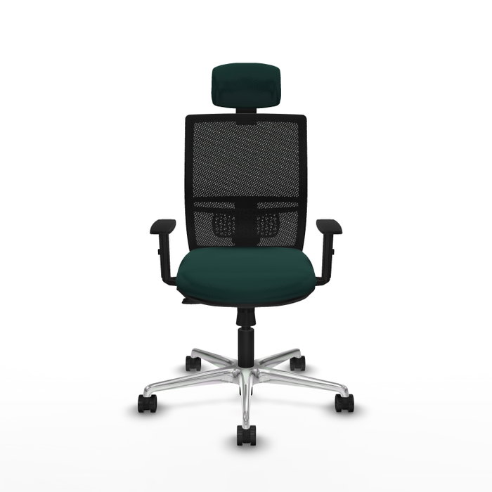 PIQUERAS Y CRESPO Silla de oficina Yunquera con mecanismo Sincro/Traslack, Verde botella y Negro PIQUERAS Y CRESPO Silla de oficina Yunquera con mecanismo Sincro/Traslack, Verde botella y Negro