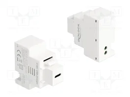 DeLOCK 41481 Módulo Keystone con puerto de carga USB Type-C™ PD 20 W blanco