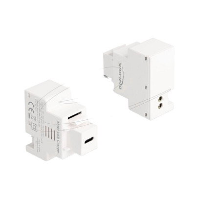 DeLOCK 41481 Módulo Keystone con puerto de carga USB Type-C™ PD 20 W blanco