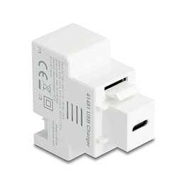 DeLOCK 41481 Módulo Keystone con puerto de carga USB Type-C™ PD 20 W blanco