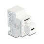 DeLOCK 41481 Módulo Keystone con puerto de carga USB Type-C™ PD 20 W blanco