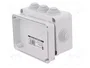 ELEKTRO-PLAST NASIELSK Caja de conexiones IP55 gris