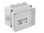 ELEKTRO-PLAST NASIELSK Caja de conexiones IP55 gris