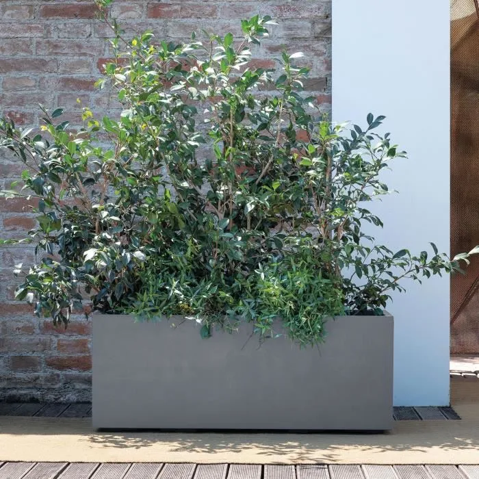 Deroma Jardinera Muret Millennium R Gris Ceniza Con Reserva De Agua Ruedas 99 cm Deroma Jardinera Muret Millennium R Gris Ceniza Con Reserva De Agua Ruedas 99 cm