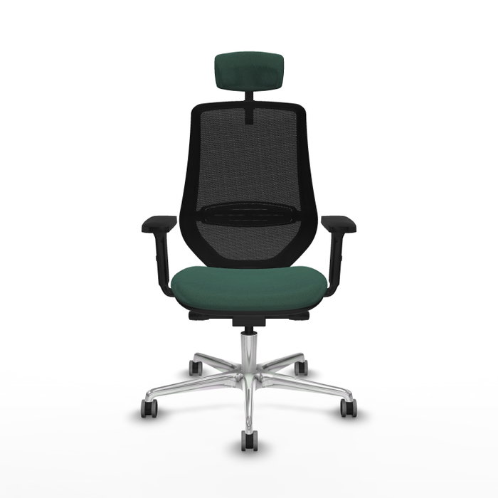 PIQUERAS Y CRESPO Silla de oficina Mardos con mecanismo Sincro/Traslack Verde botella PIQUERAS Y CRESPO Silla de oficina Mardos con mecanismo Sincro/Traslack Verde botella