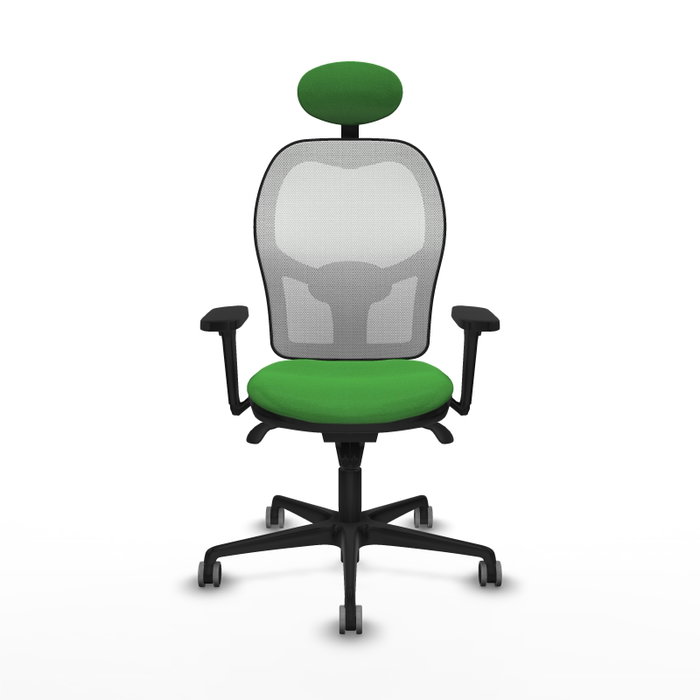PIQUERAS Y CRESPO Silla de oficina Jorquera con mecanismo Sincro, Tela Verde y Malla Blanca PIQUERAS Y CRESPO Silla de oficina Jorquera con mecanismo Sincro, Tela Verde y Malla Blanca