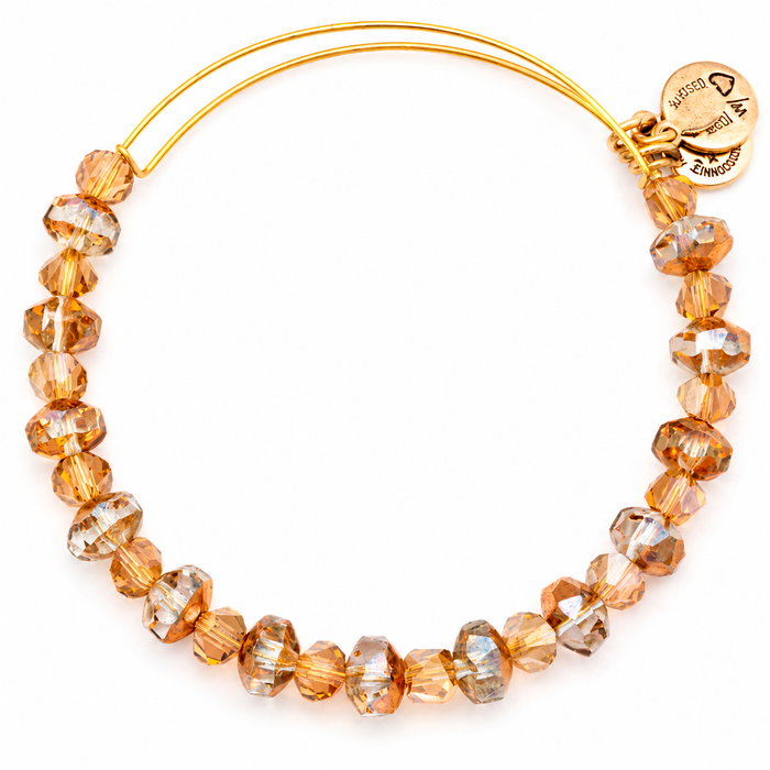 Alex And Ani Pulsera de Cobre con Acabado Envejecido A13EB42RG Alex And Ani Pulsera de Cobre con Acabado Envejecido A13EB42RG