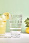 Hermia Juego de Vasos de Vidrio Transparente 300 ml (2 Piezas)