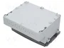 FIBOX CARDMASTER Carcasa de pared gris