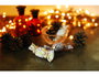 Dailylike Tela de algodón ornament Navidad 1,10m x 3m espesor 30C
