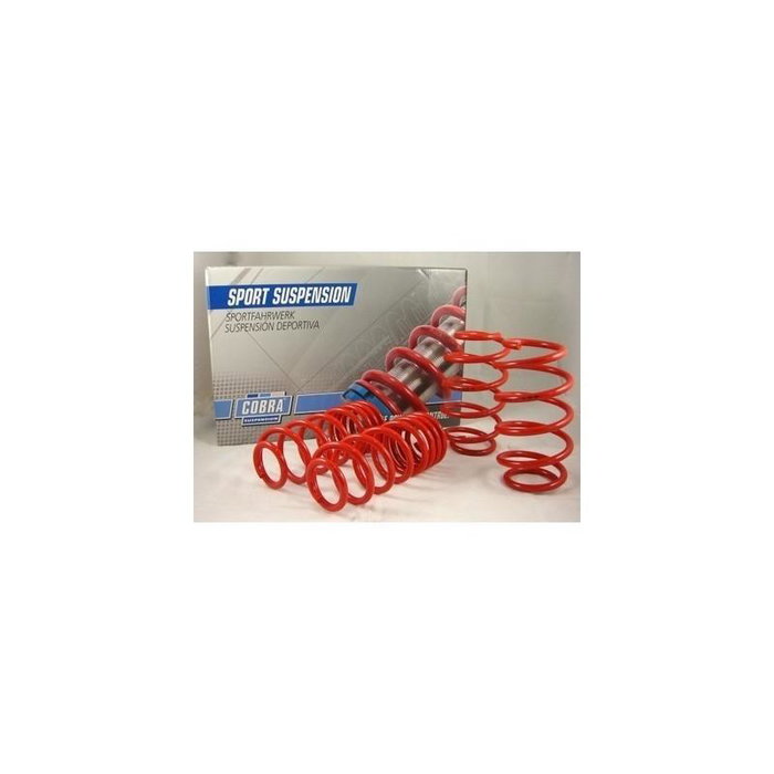Cobra 28.9914.1 COB2899141 Muelles Deportivos para Ford Escort VII 1.6/1.8-16V XR3i Rebaje 40/40 mm Cobra 28.9914.1 COB2899141 Muelles Deportivos para Ford Escort VII 1.6/1.8-16V XR3i Rebaje 40/40 mm