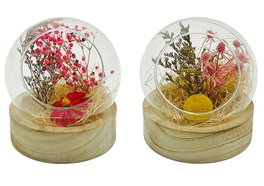 DKD Home Decor Decoración de Cristal con Flor Seca Multicolor (Surtido de 2)