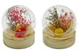 DKD Home Decor Decoración de Cristal con Flor Seca Multicolor (Surtido de 2)
