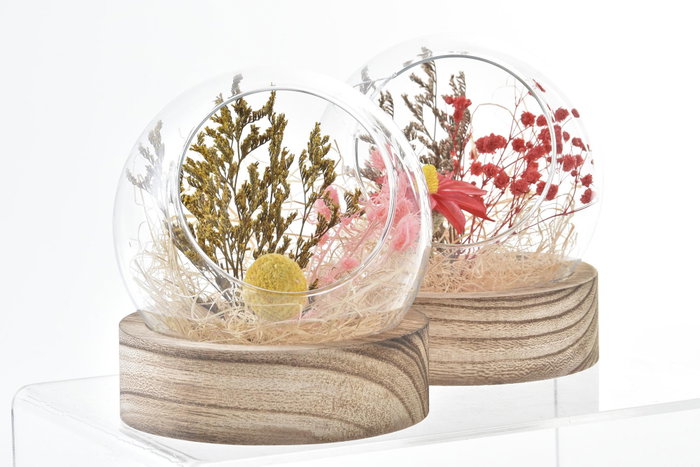 DKD Home Decor Decoración de Cristal con Flor Seca Multicolor (Surtido de 2)
