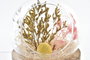 DKD Home Decor Decoración de Cristal con Flor Seca Multicolor (Surtido de 2)
