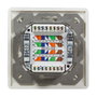 LogiLink Toma de pared Cat.6 2xRJ45 STP horizontal, blanco puro