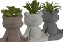DKD Home Decor Planta de Cemento Rana Surtida 8,5x5x11 cm