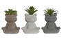 DKD Home Decor Planta de Cemento Rana Surtida 8,5x5x11 cm