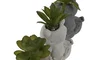 DKD Home Decor Planta de Cemento Rana Surtida 8,5x5x11 cm