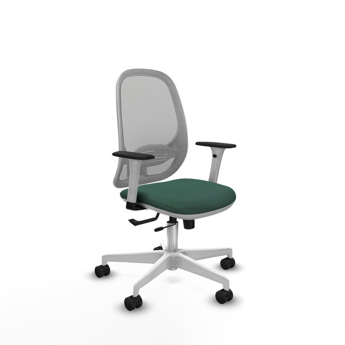 PIQUERAS Y CRESPO Silla de oficina Cilanco con mecanismo Sincro/Traslack Verde botella y Gris PIQUERAS Y CRESPO Silla de oficina Cilanco con mecanismo Sincro/Traslack Verde botella y Gris