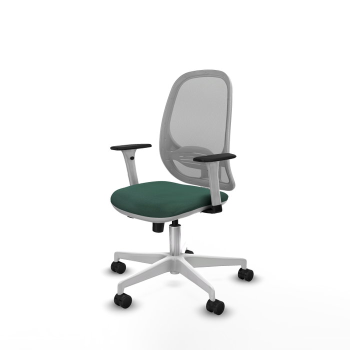 PIQUERAS Y CRESPO Silla de oficina Cilanco con mecanismo Sincro/Traslack Verde botella y Gris PIQUERAS Y CRESPO Silla de oficina Cilanco con mecanismo Sincro/Traslack Verde botella y Gris
