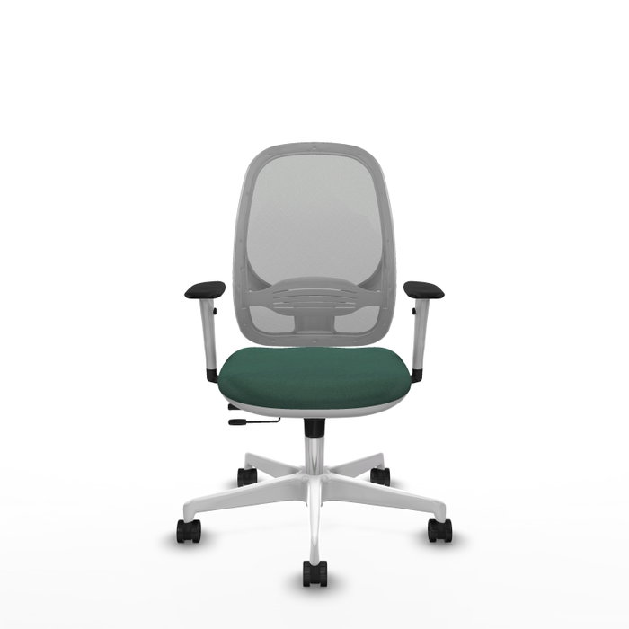 PIQUERAS Y CRESPO Silla de oficina Cilanco con mecanismo Sincro/Traslack Verde botella y Gris PIQUERAS Y CRESPO Silla de oficina Cilanco con mecanismo Sincro/Traslack Verde botella y Gris