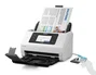 Epson WorkForce DS-800WN Escáner de documentos A4/Legal Blanco