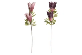 DKD Home Decor Flor Lila Rosa 25 x 80 x 10 cm (12 Unidades)