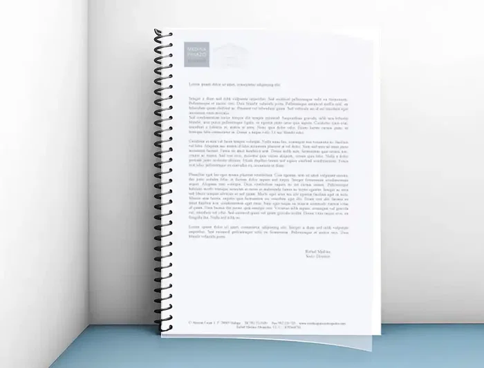 Liderpapel Tapas Polipropileno A3 0.5 mm Transparente Paquete 100 Unidades