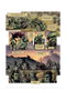 Yermo Ediciones Y Publicaciones, S.L. Orcos y Goblins 07: Kror'nyr / Shaaka