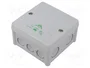 Günther Spelsberg GmbH+Co.KG Spelsberg Abox 025-2,5 IP66