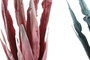 DKD Home Decor Ramas EVA 35x10x86 Surtido de 2