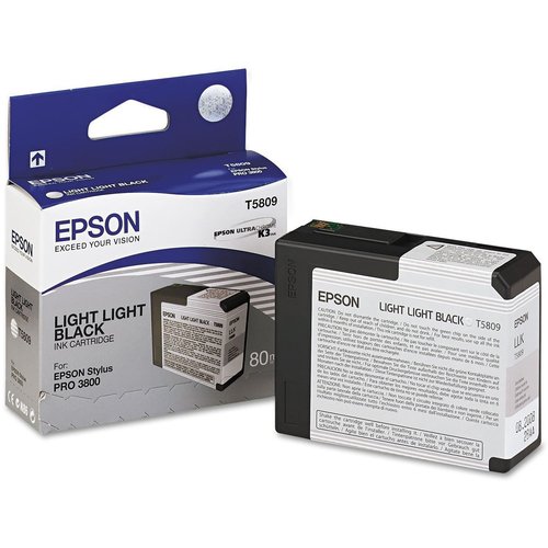 Epson Cartucho T580900 Gris Claro 80ml para Stylus Pro 3800/3880