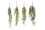DKD Home Decor Ramas Colgantes de PE Surtido de 4 Unidades