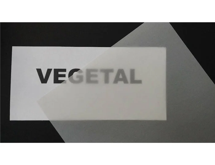 Diamant Papel Vegetal para Dibujo, Rollo 1.10 x 20 m, 90-95 gr, Ideal para Lápiz, Tinta y Rotulador, Referencia de Aplicación